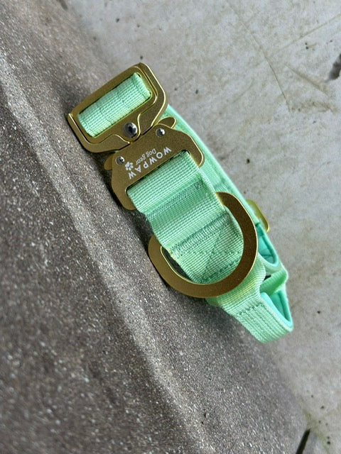Taktisches Hundehalsband ULTRA LIGHT 3,8cm Pistaziengrün Edition M