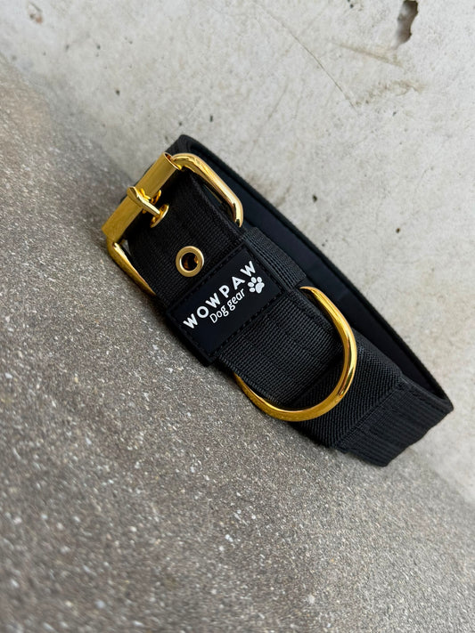 Hochwertiges Basic Hundehalsband Black Edition 3,8cm Größe S