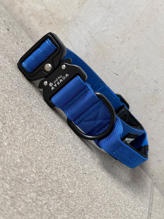Hochwertiges taktisches Hundehalsband Königsblau Größe L Breite 3,8cm