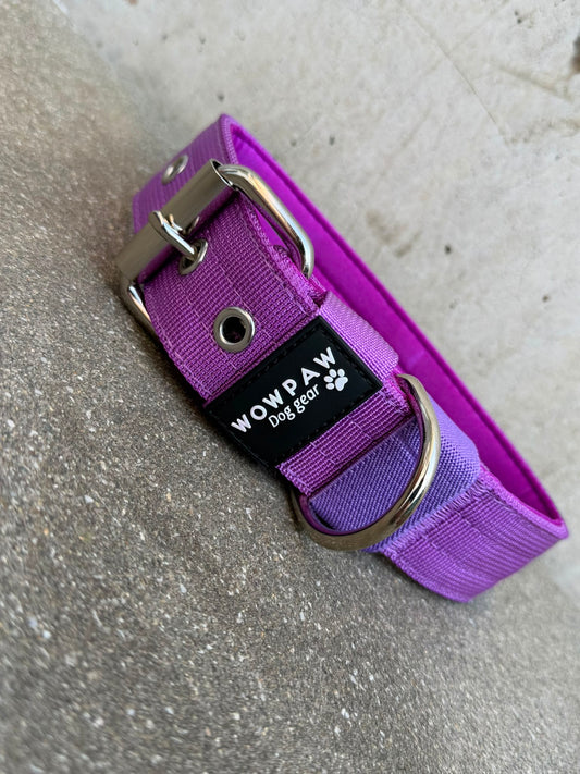 Hochwertiges Basic Hundehalsband Dunkellila Edition 3,8cm Größe S