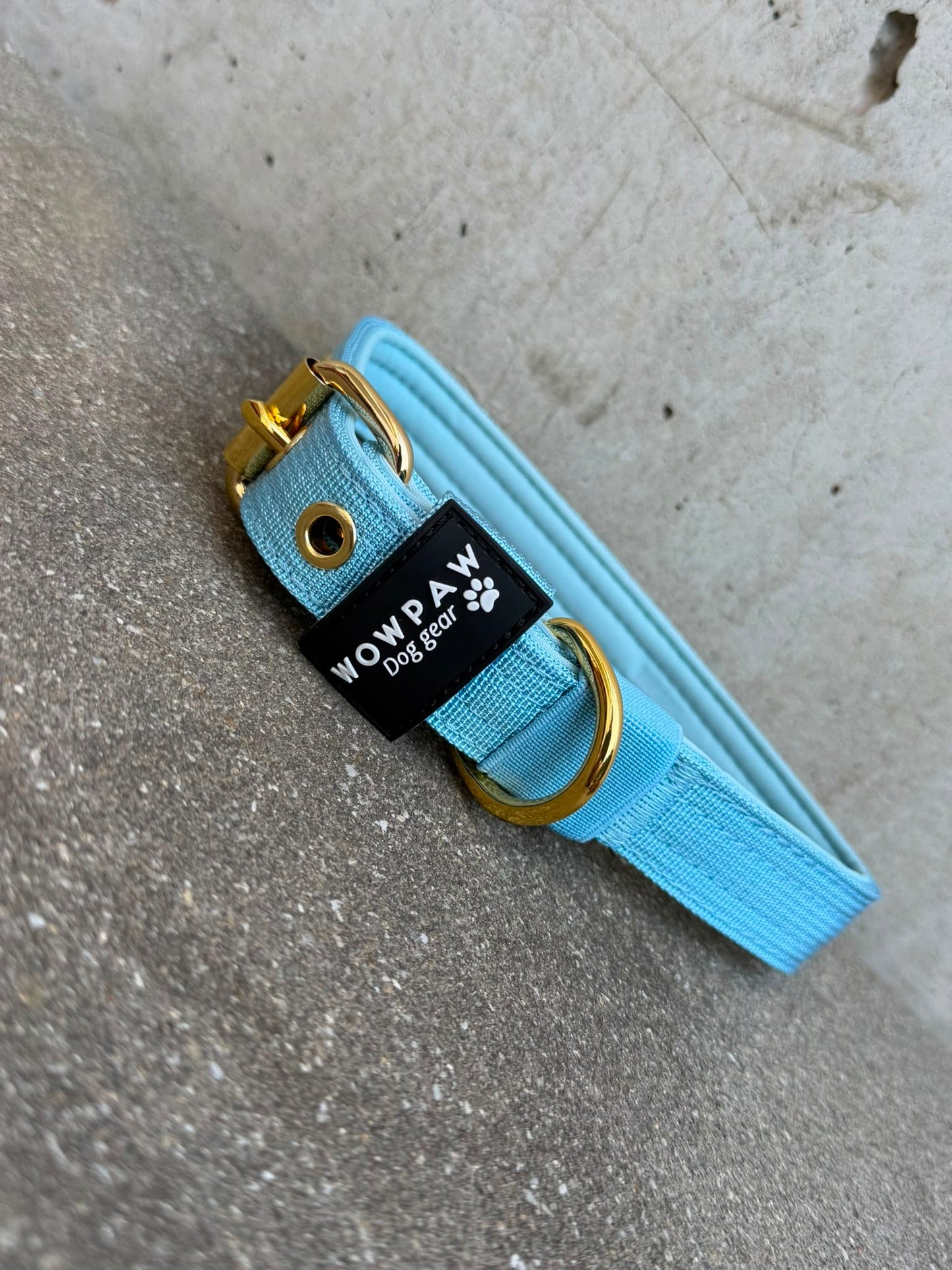 Hochwertiges Basic Hundehalsband Sky Blue 2,5cm Größe L