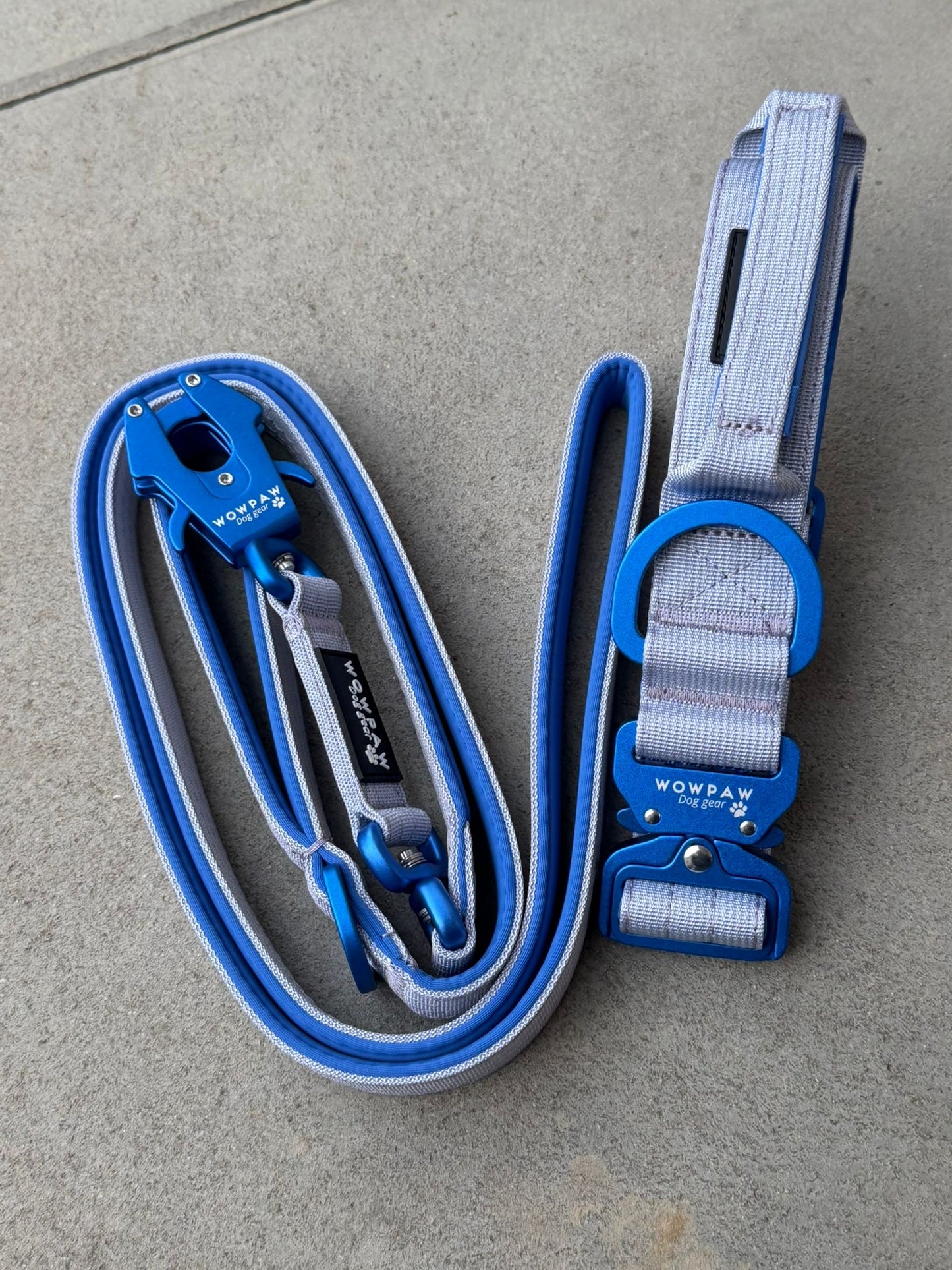 Collare tattico per cani di alta qualità blu royal taglia S