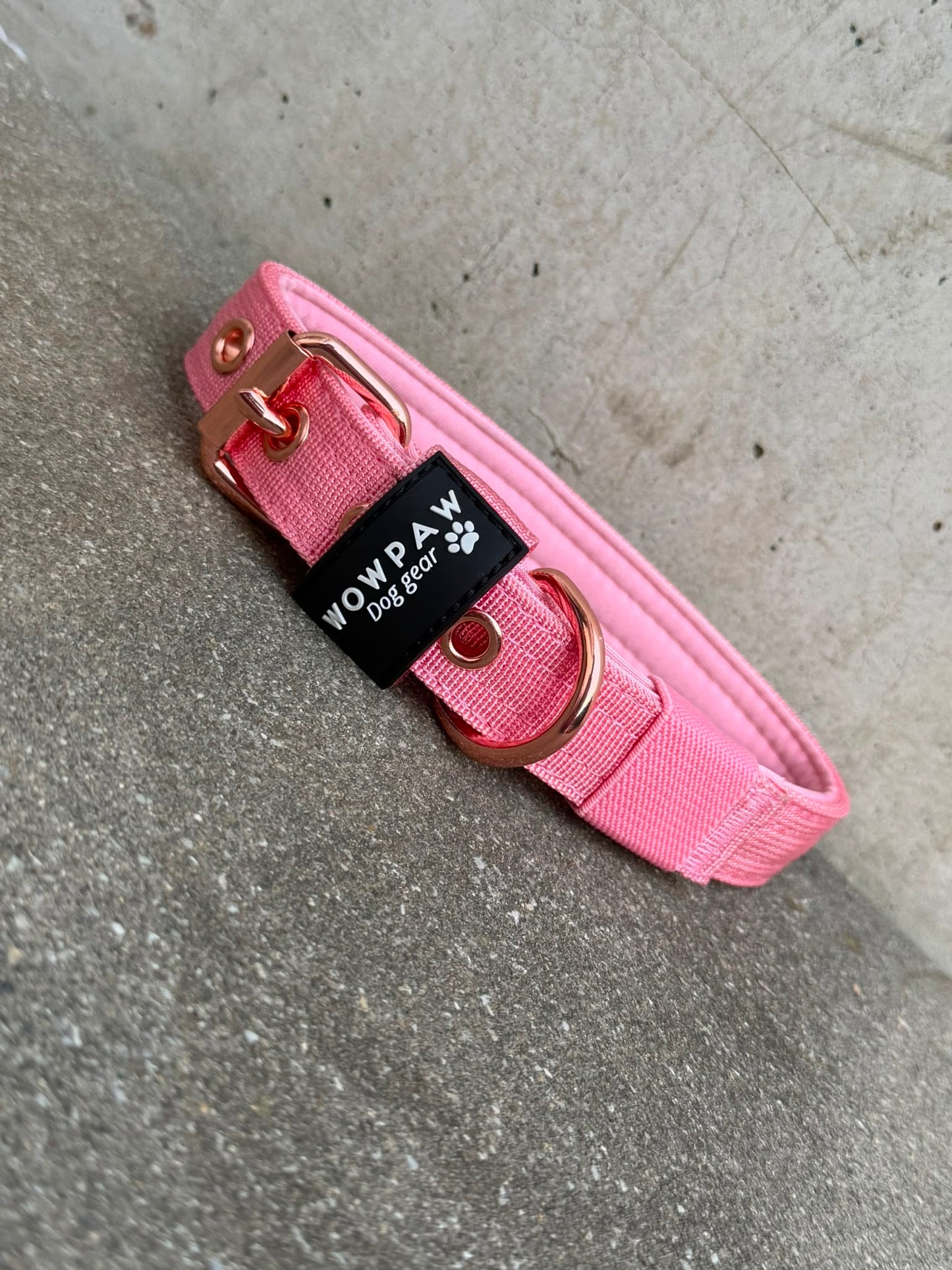 Collare per cani basic di alta qualità arancione neon taglia M