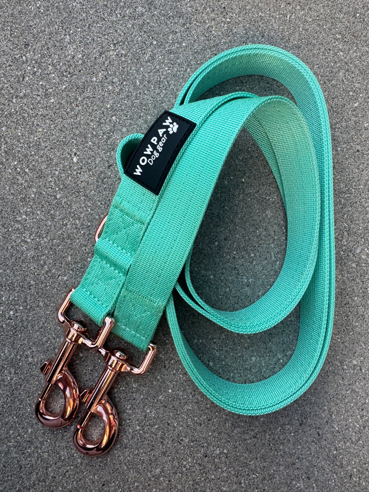Standard Hundeleine M verstellbar Länge 2m Mint-Roségold