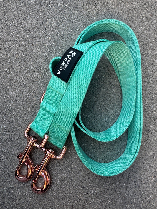 Standard Hundeleine M verstellbar Länge 2m Mint-Roségold