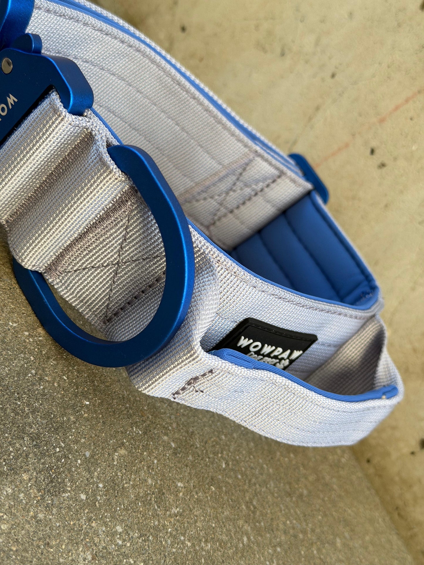 Collare tattico per cani di alta qualità blu royal taglia S