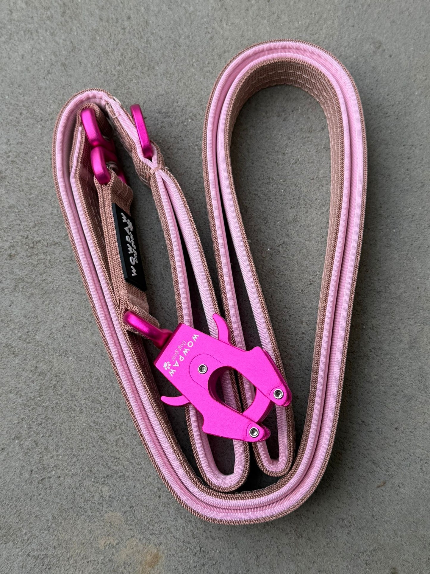 Guinzaglio tattico per cani con moschettone a rana, girevole a 360°, lunghezza 1,8 menta / oro rosa
