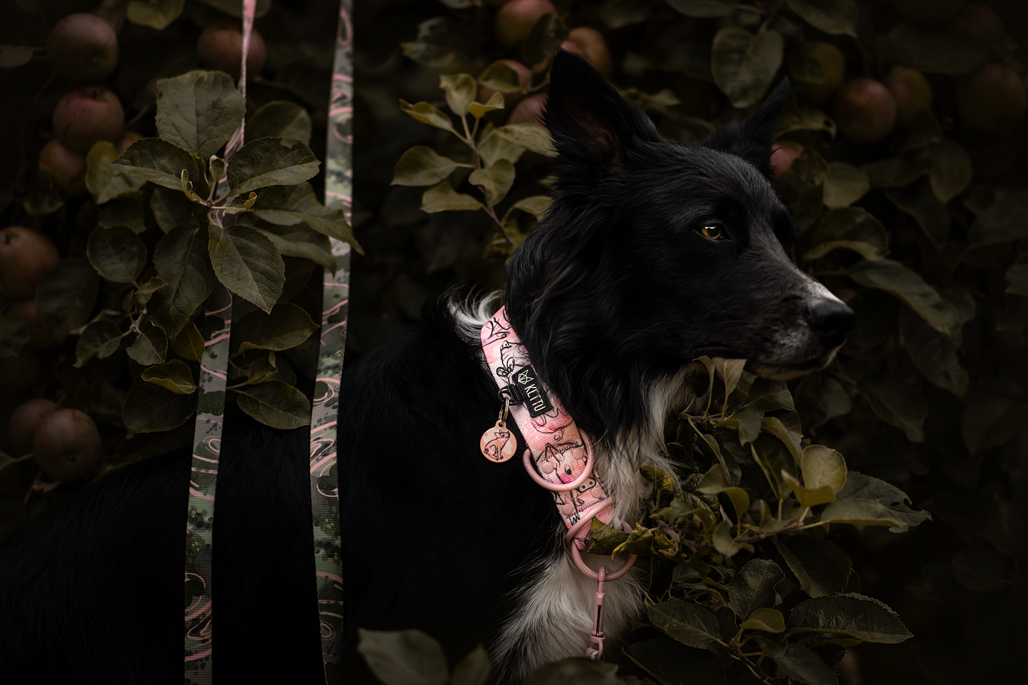KETTU Halbzug Hundehalsband Piglets