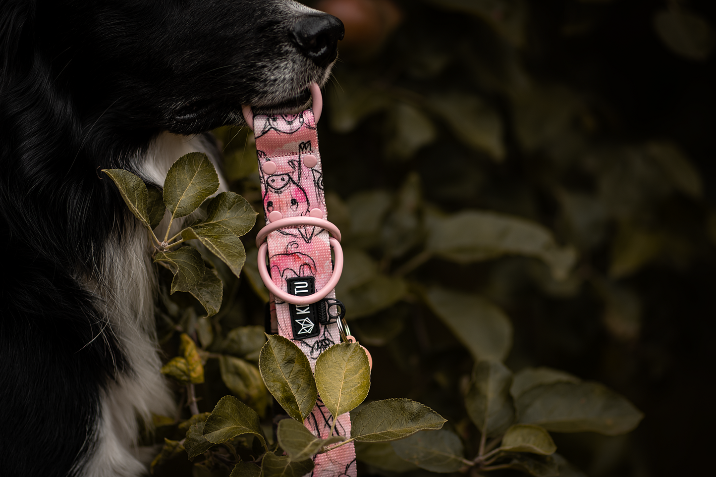 KETTU Halbzug Hundehalsband Piglets