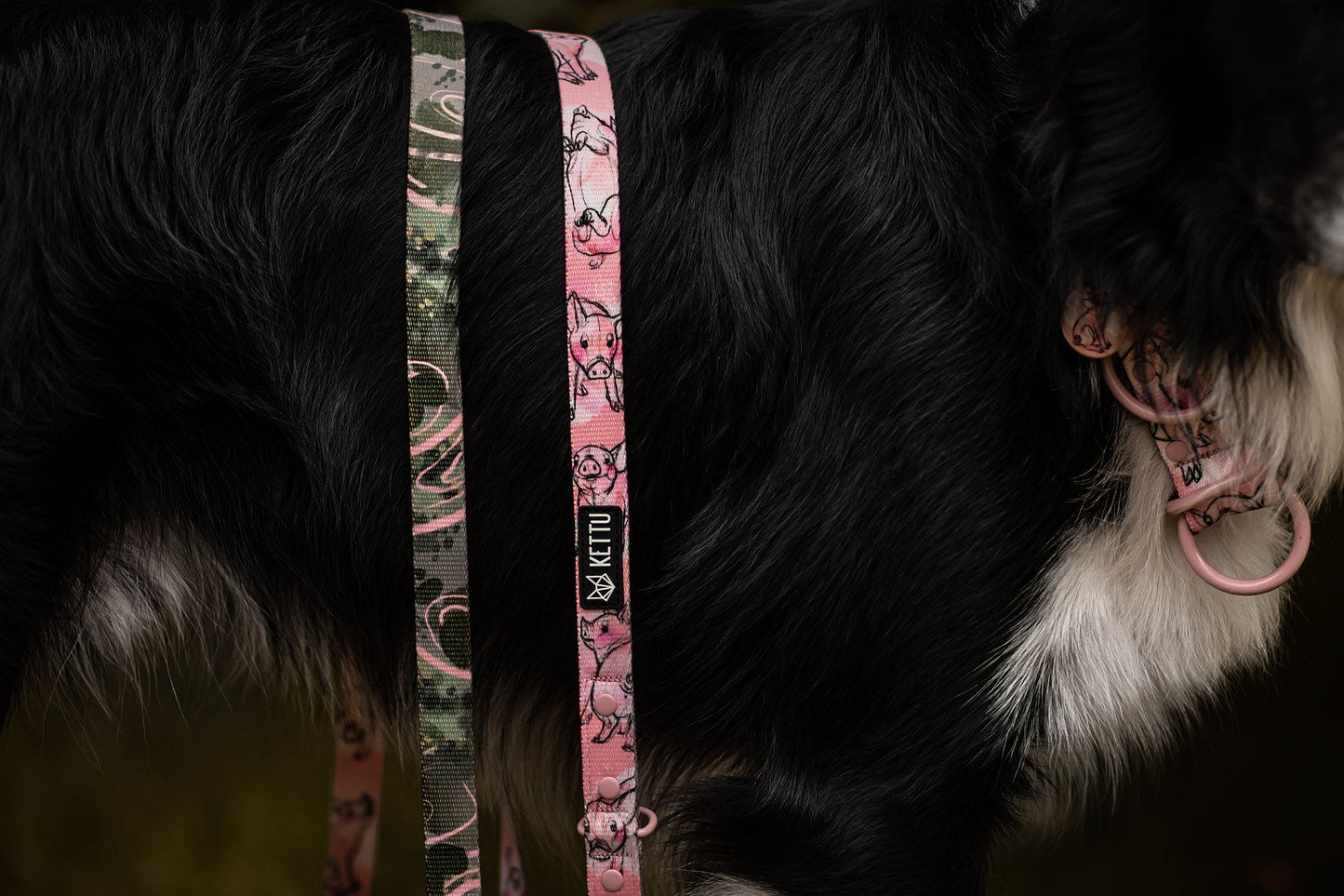 KETTU Halbzug Hundehalsband Piglets