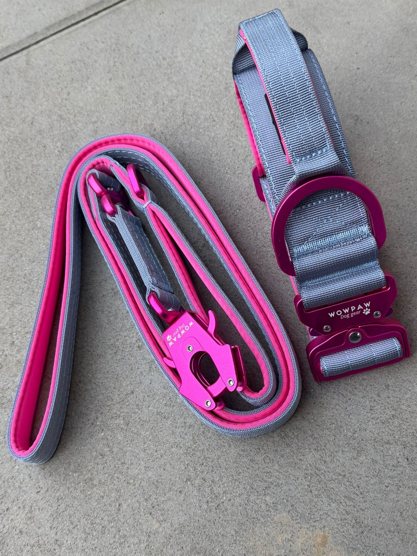 Guinzaglio tattico per cani con moschettone a rana, girevole a 360°, lunghezza 1,8 menta / oro rosa