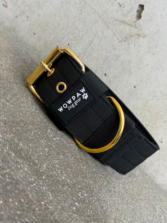 Hochwertiges Basic Hundehalsband Black Edition 5cm Größe S