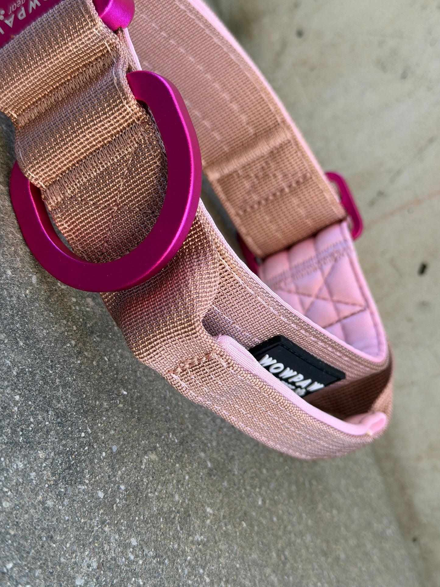 Collare tattico per cani di alta qualità blu royal taglia S