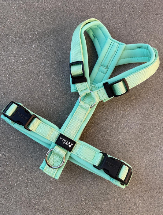 Hochwertiges Hundegeschirr FLOW Pistaziengrün Edition