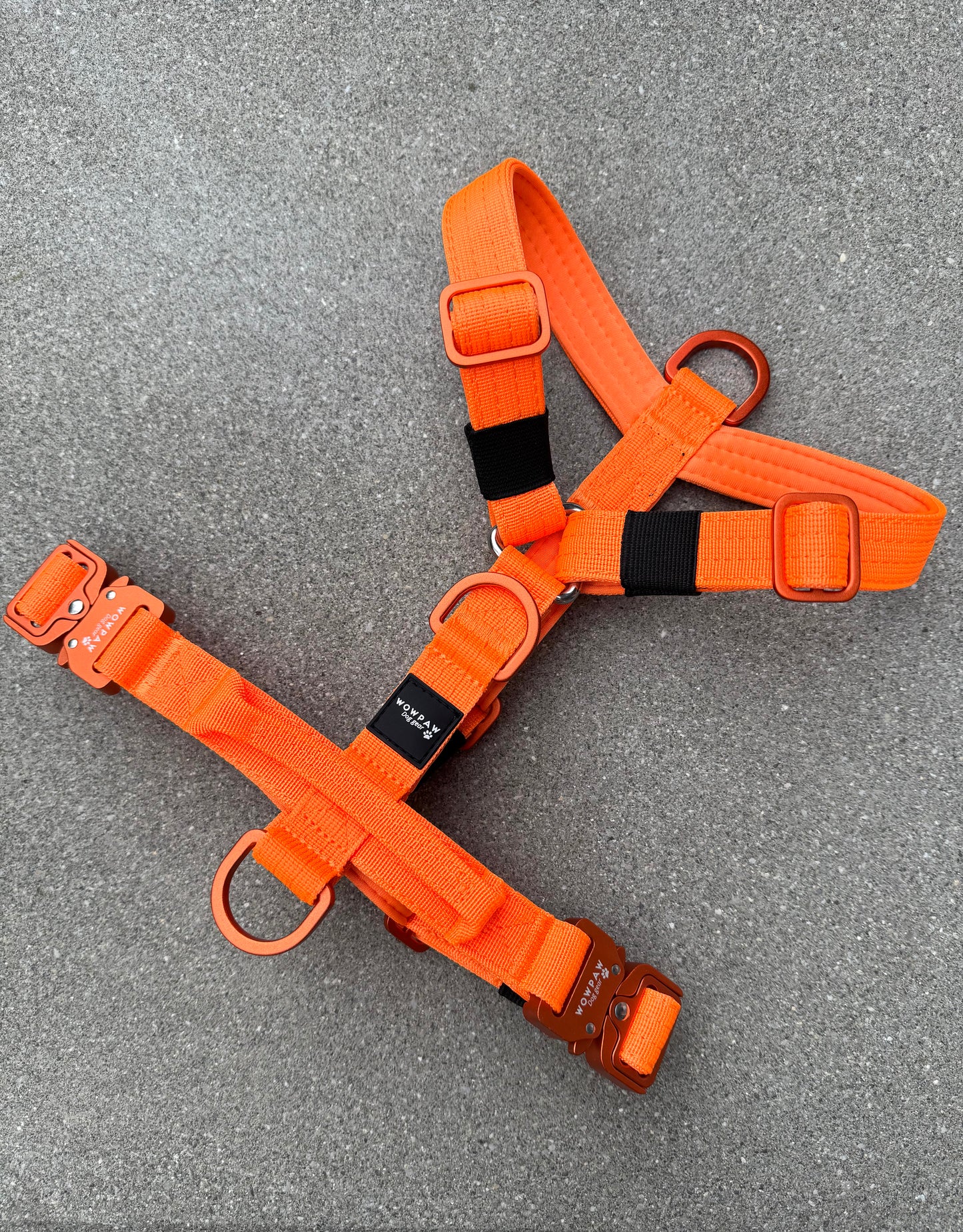 Pettorina di alta qualità per cani XS Edizione Arancione neon