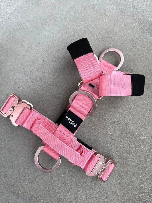 Hochwertiges Hundegeschirr S Rosa Edition