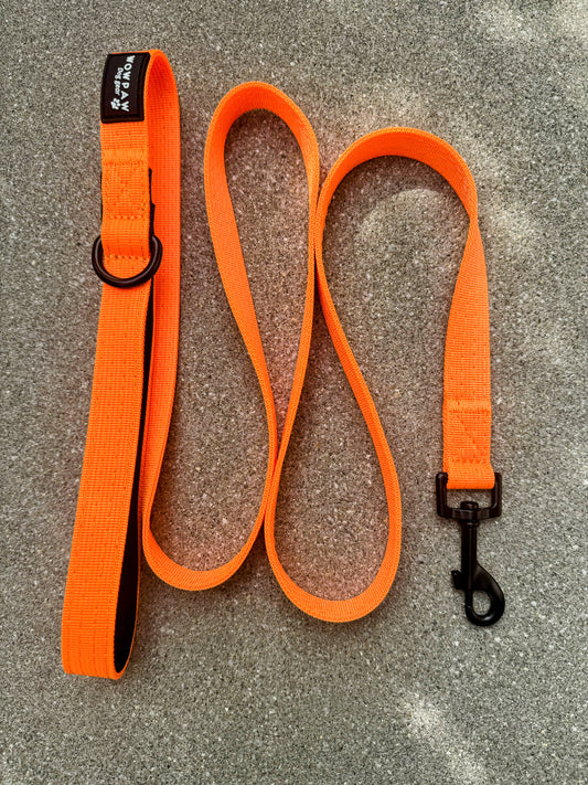 Standard Hundeleine SOFTLINE XS 1,5m Neonorange