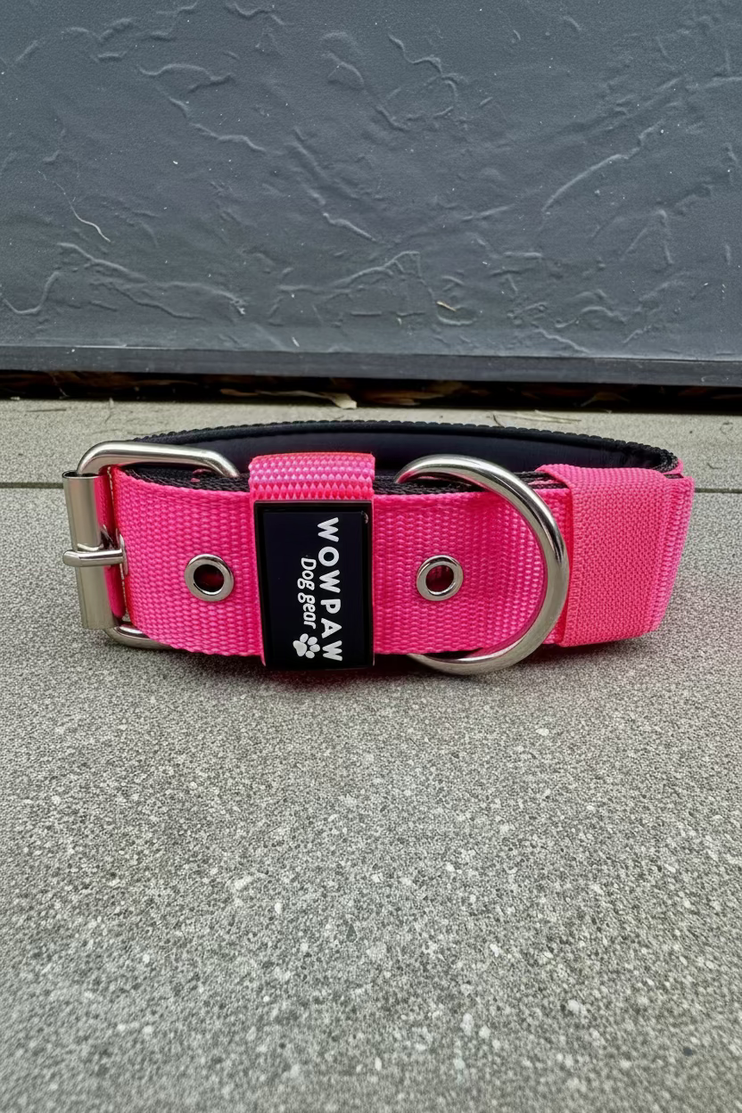 Collare per cani basic di alta qualità arancione neon taglia M