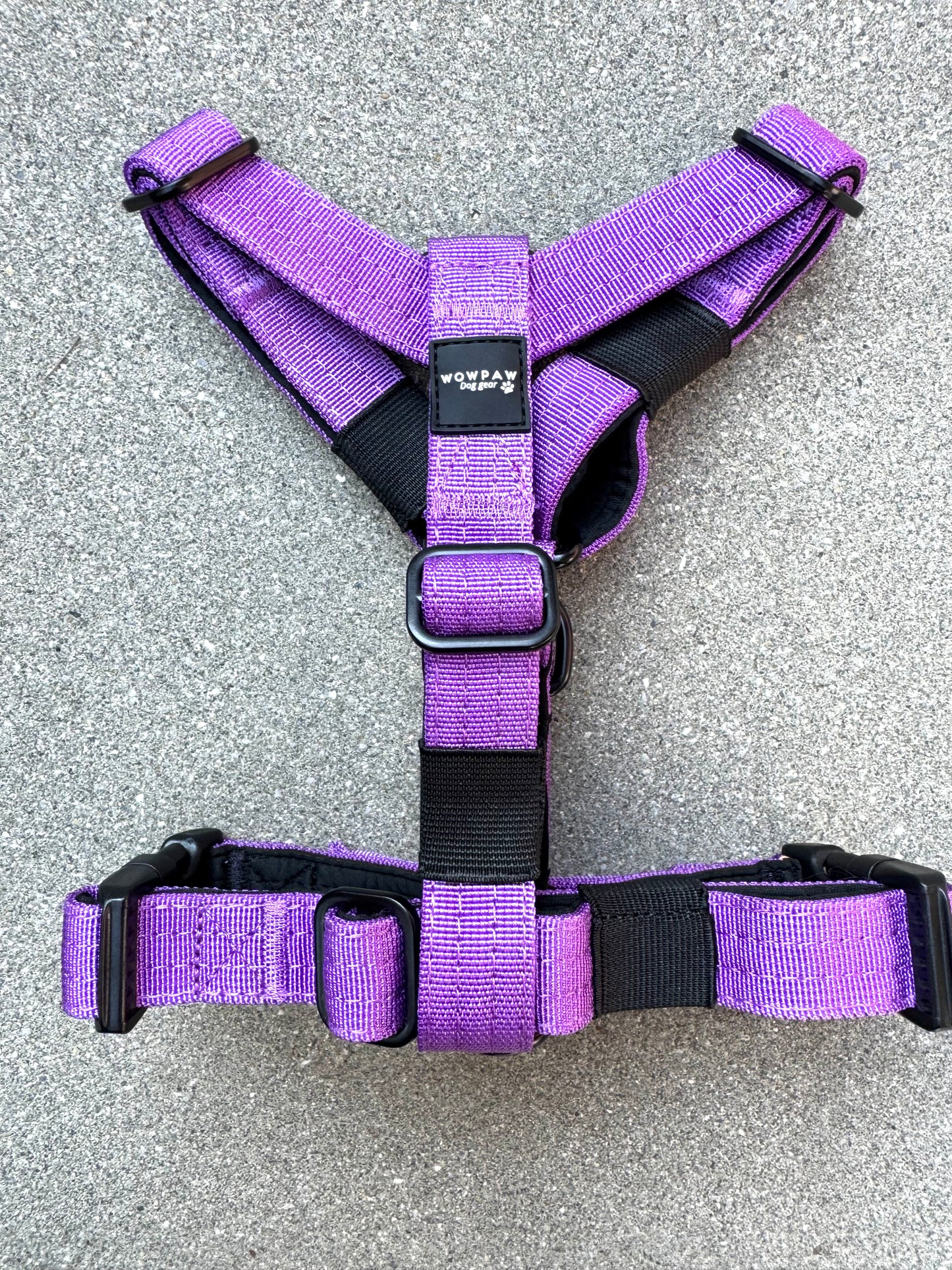 Hochwertiges Hundegeschirr XS Dunkel Lila