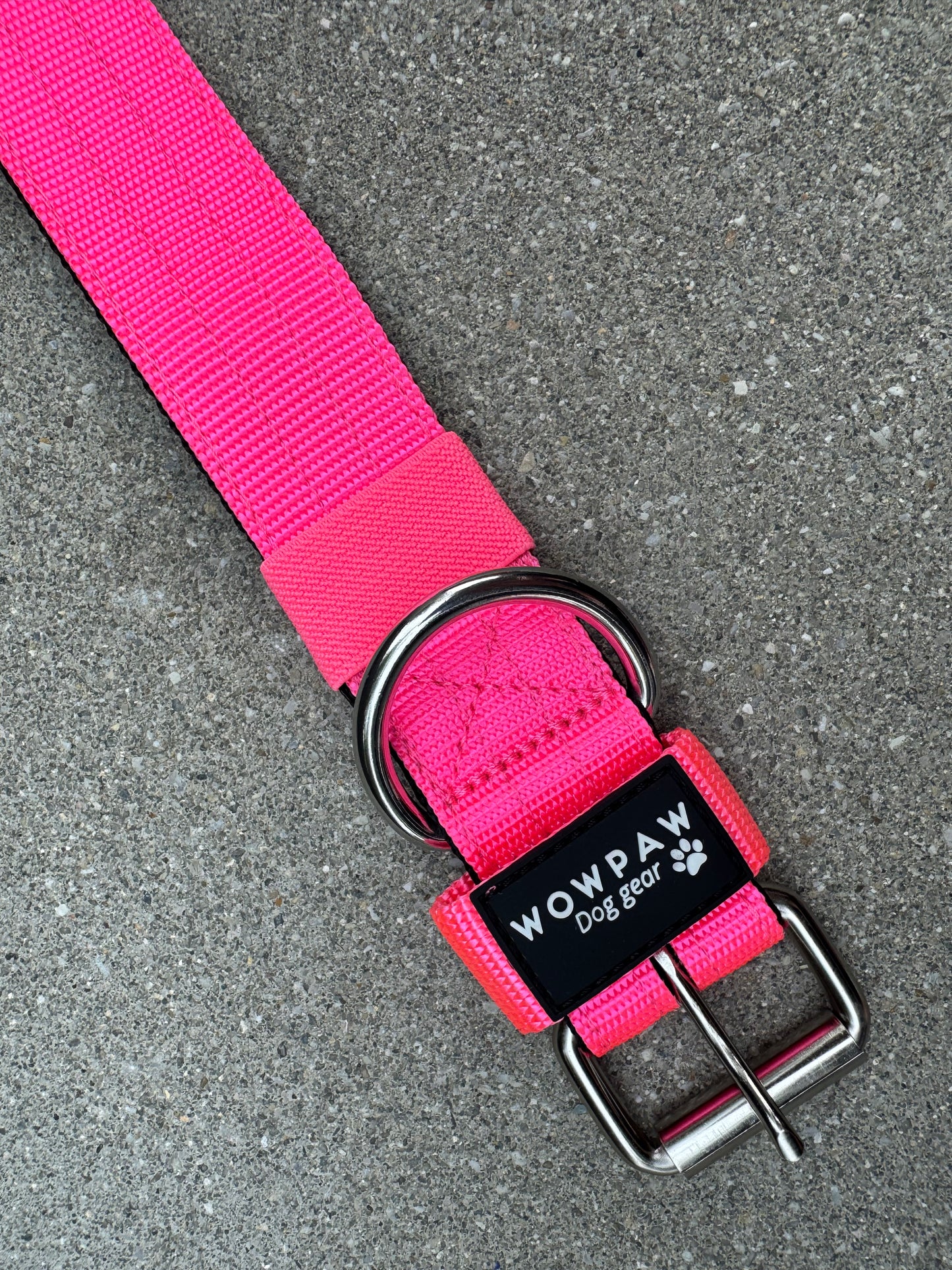 Collare per cani basic di alta qualità arancione neon taglia M
