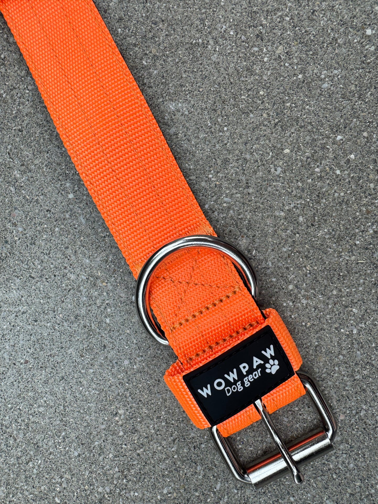 Collare per cani basic di alta qualità arancione neon taglia M