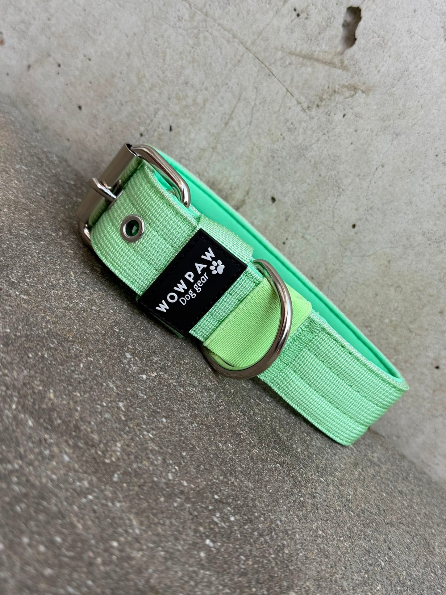 Hochwertiges Basic Hundehalsband Pistaziengrün 3,8cm Größe M