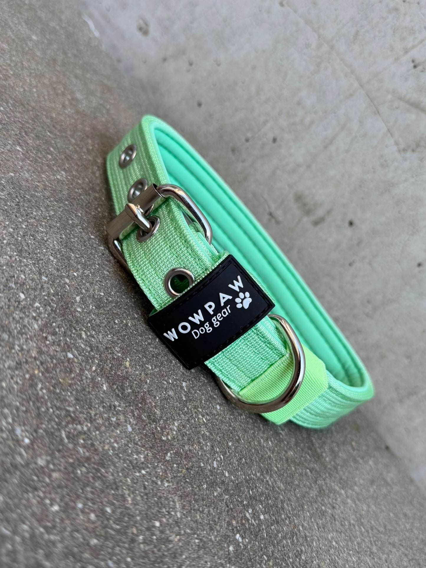Hochwertiges Basic Hundehalsband Pistaziengrün 2,5cm Größe S