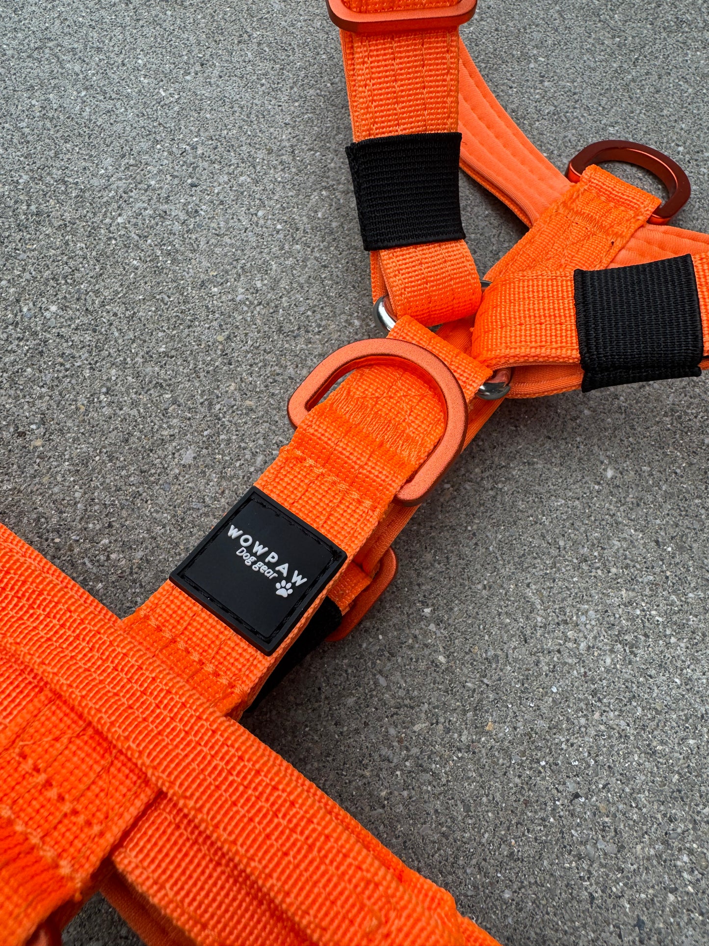 Pettorina di alta qualità per cani XS Edizione Arancione neon