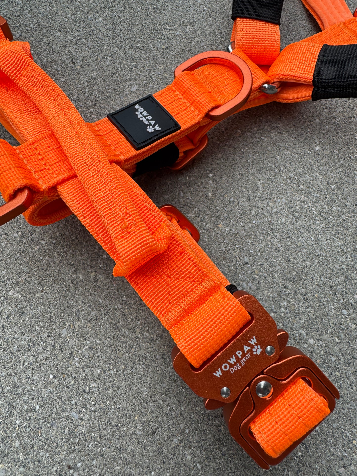 Pettorina di alta qualità per cani XS Edizione Arancione neon