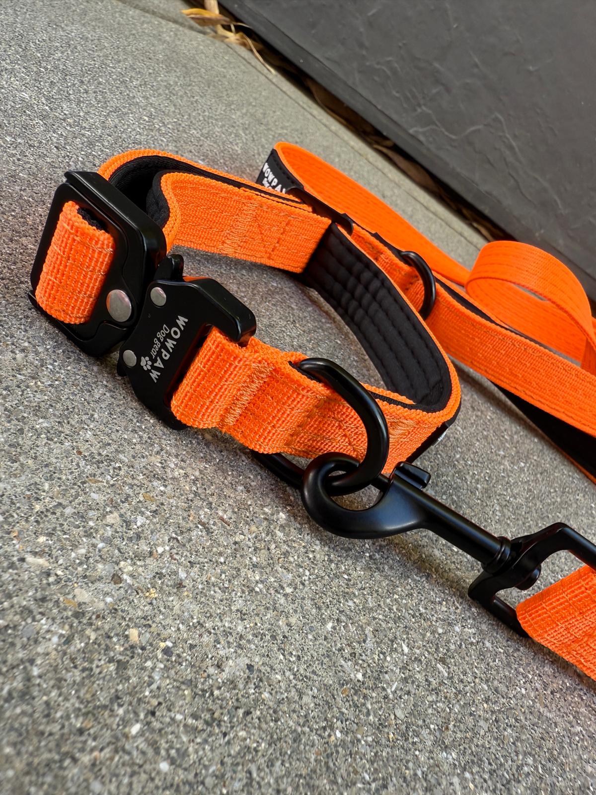 Standard Hundeleine SOFTLINE XS 1,5m Neonorange