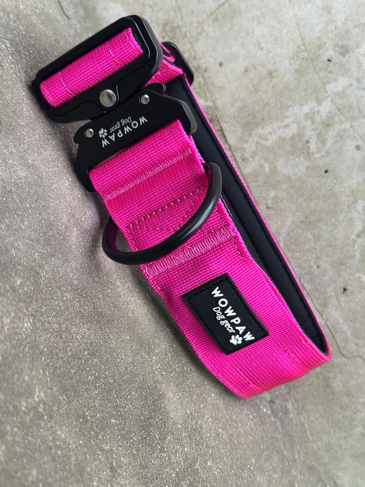 LED-Hundehalsband Magenta Größe M