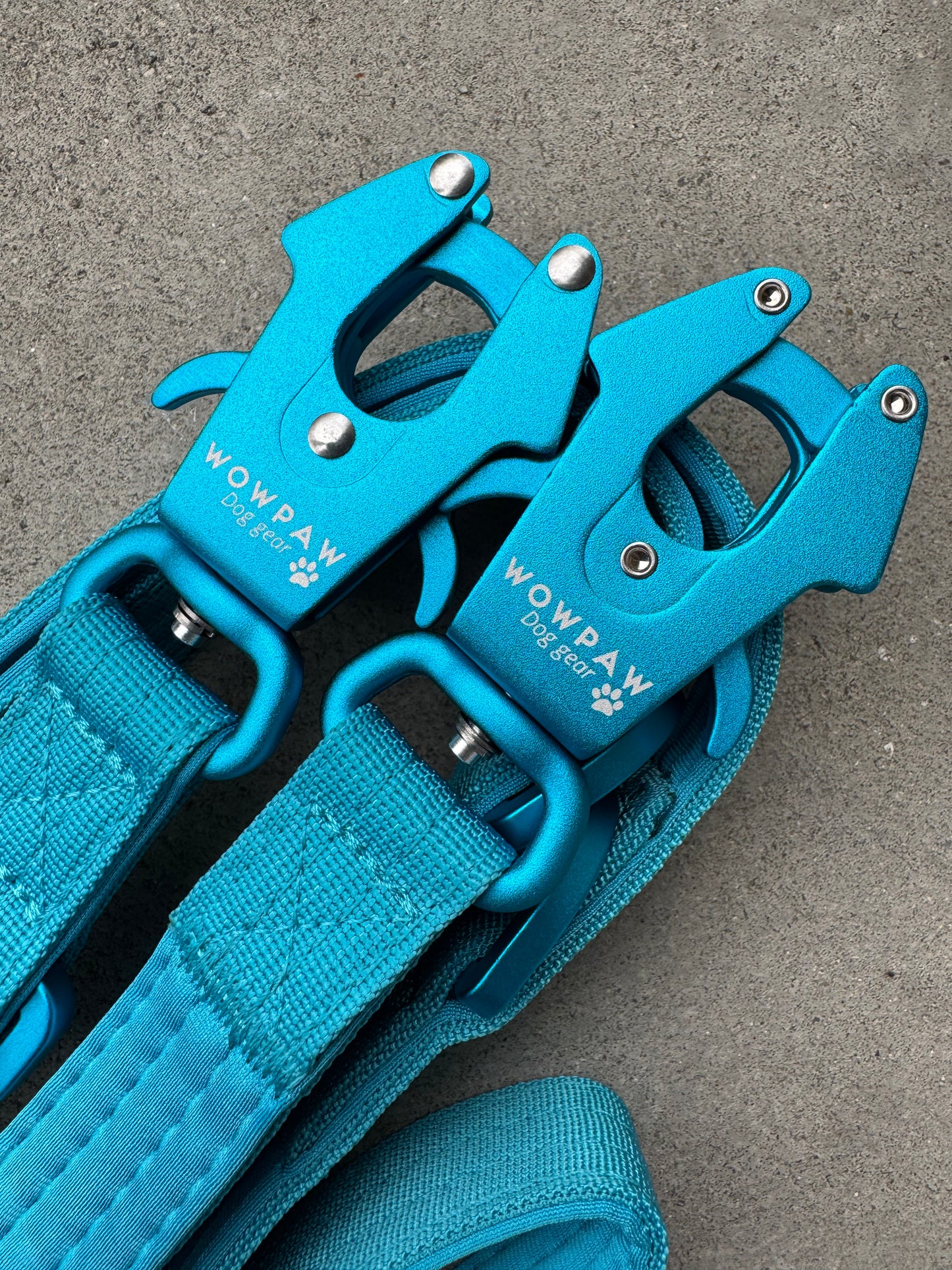 Smycz taktyczna dla psa ULTRA LIGHT Burgundy Edition długość 2m regulowana