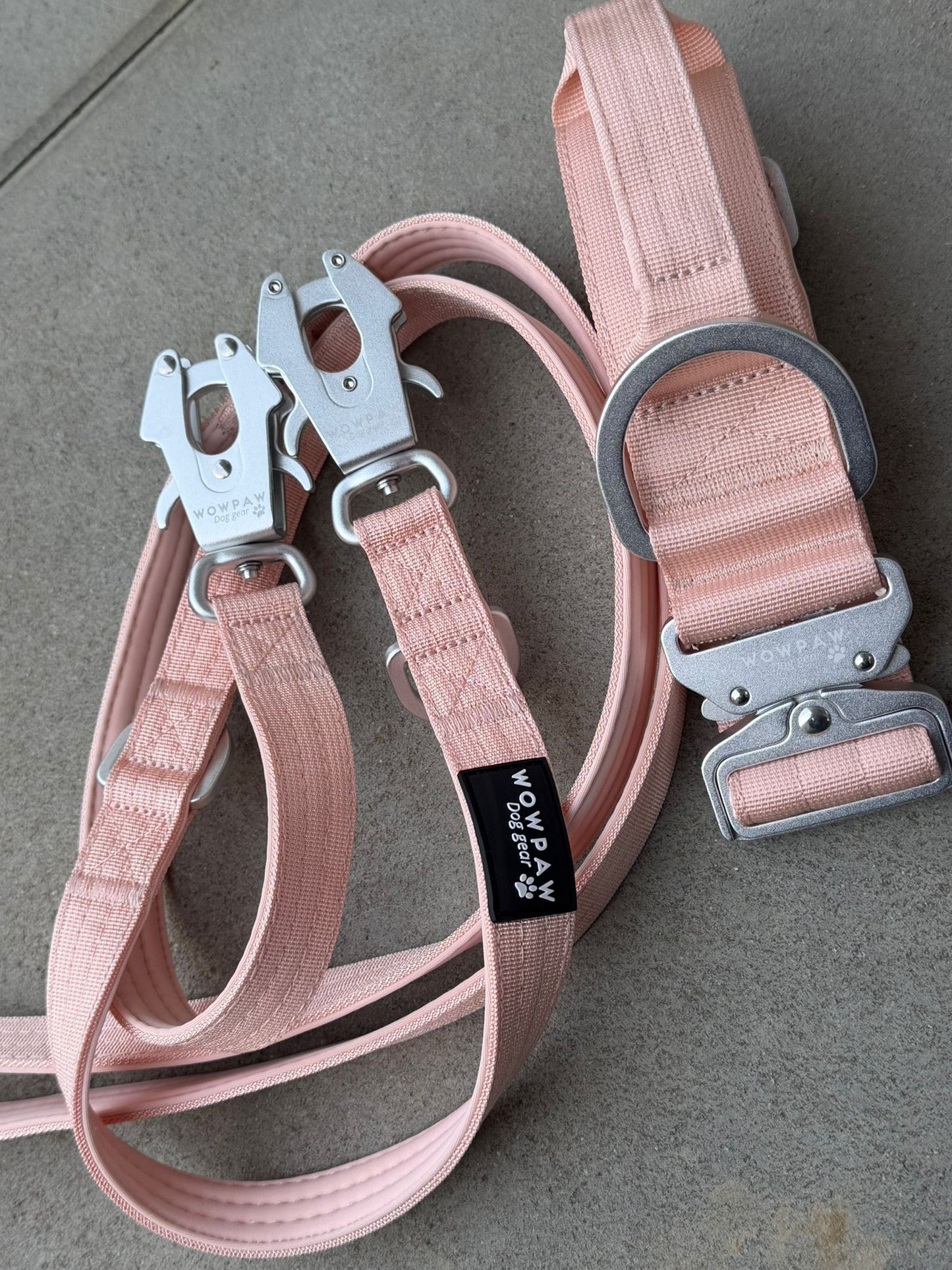 Collare tattico per cani di alta qualità blu royal taglia S