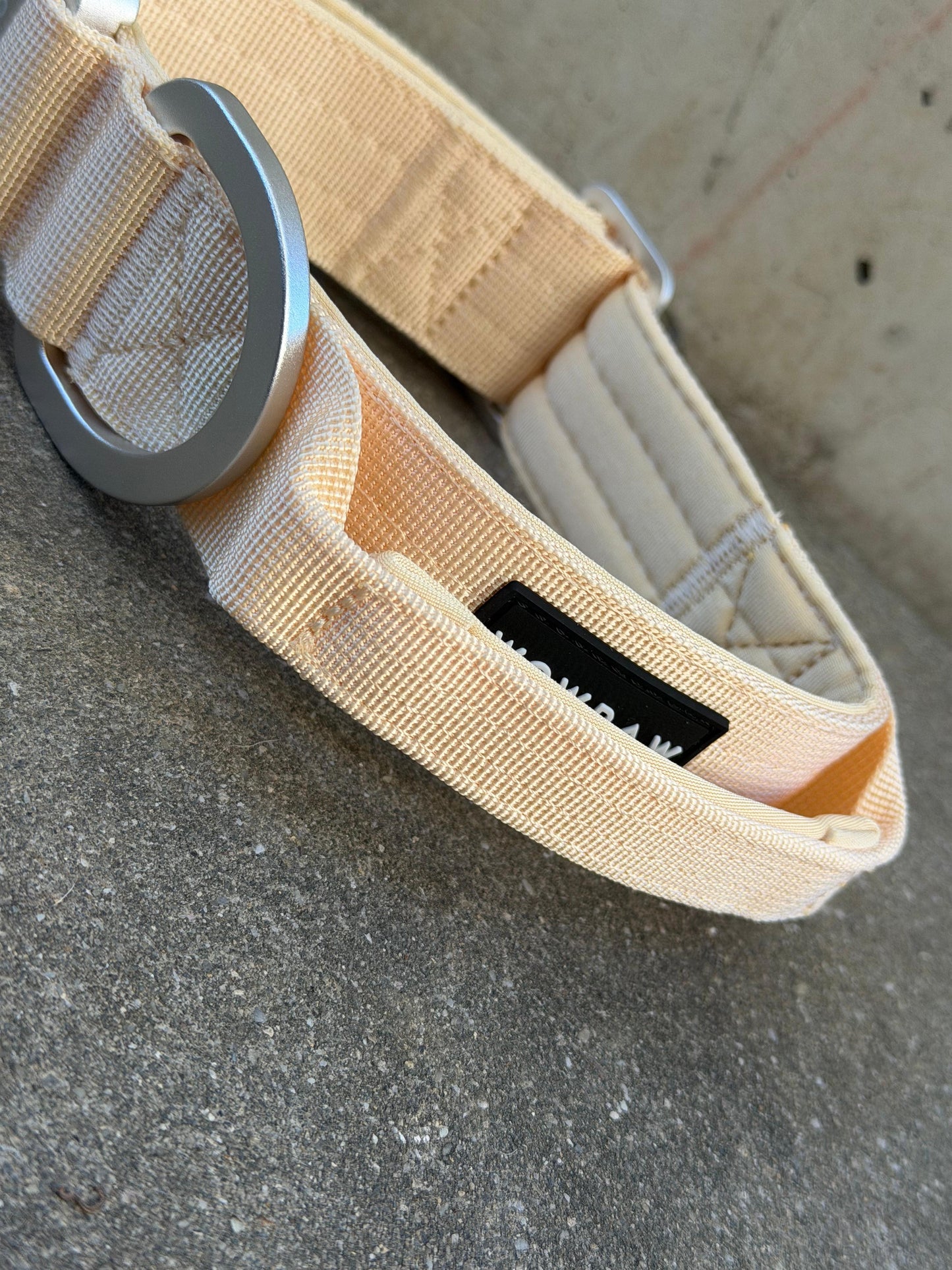 Collare tattico per cani di alta qualità blu royal taglia S