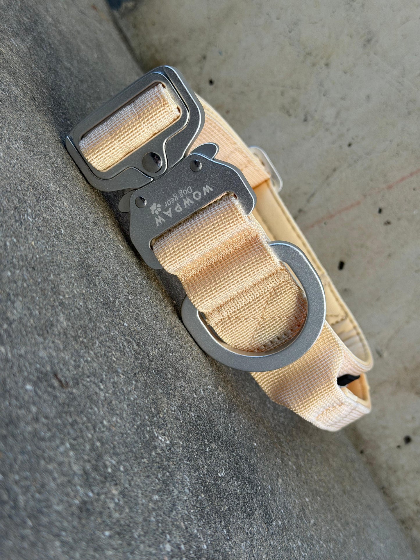 Collare tattico per cani di alta qualità blu royal taglia S