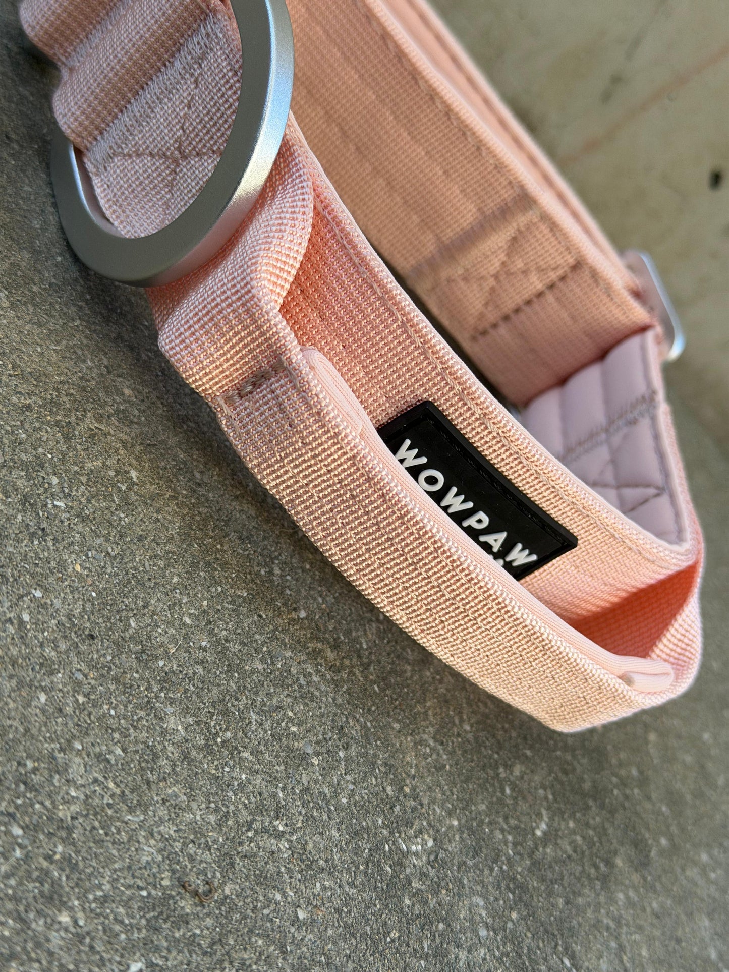 Collare tattico per cani di alta qualità blu royal taglia S