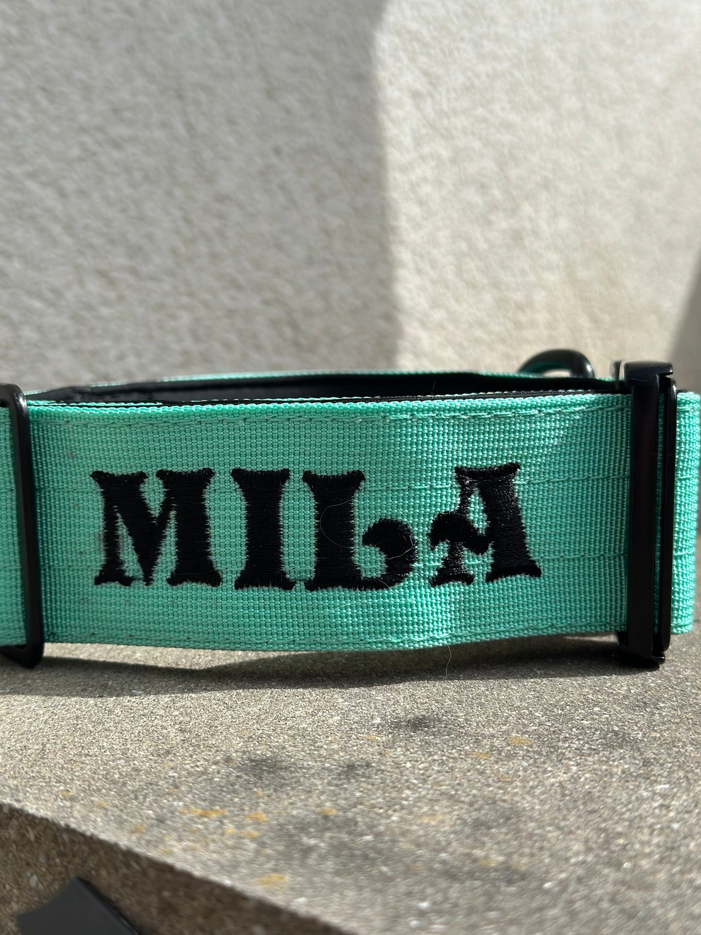 Taktisches Hundehalsband Mint S Bestickt