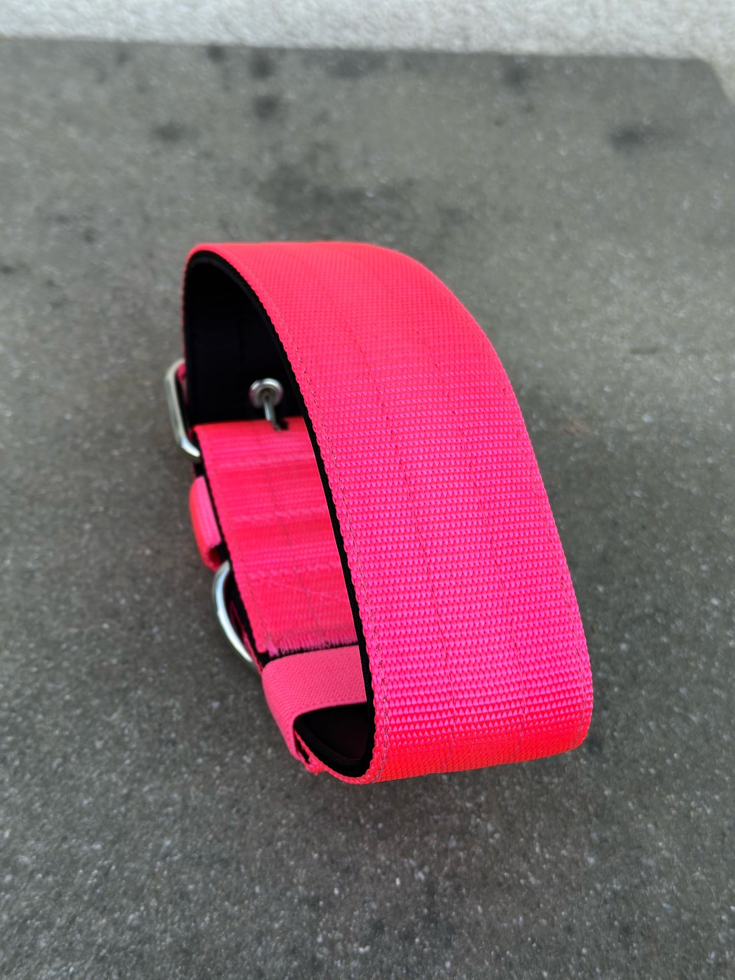 Hochwertiges Basic Hundehalsband Neonpink Größe S