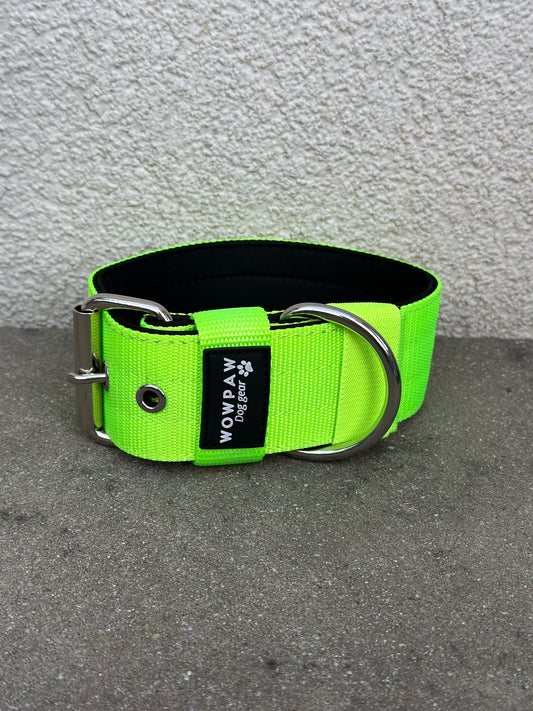 Hochwertiges Basic Hundehalsband Neongrün Größe M