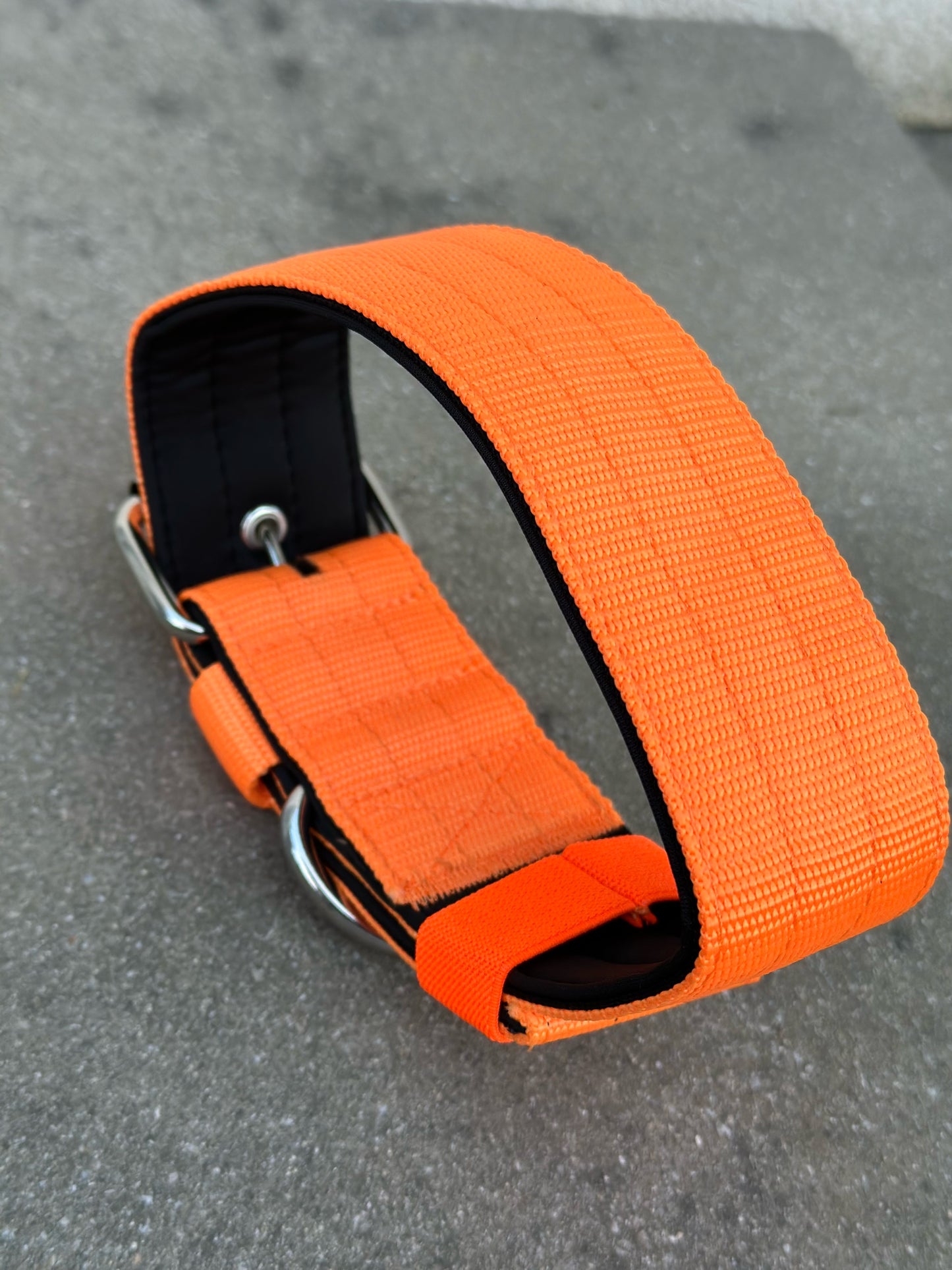 Hochwertiges Basic Hundehalsband Neonorange Größe S