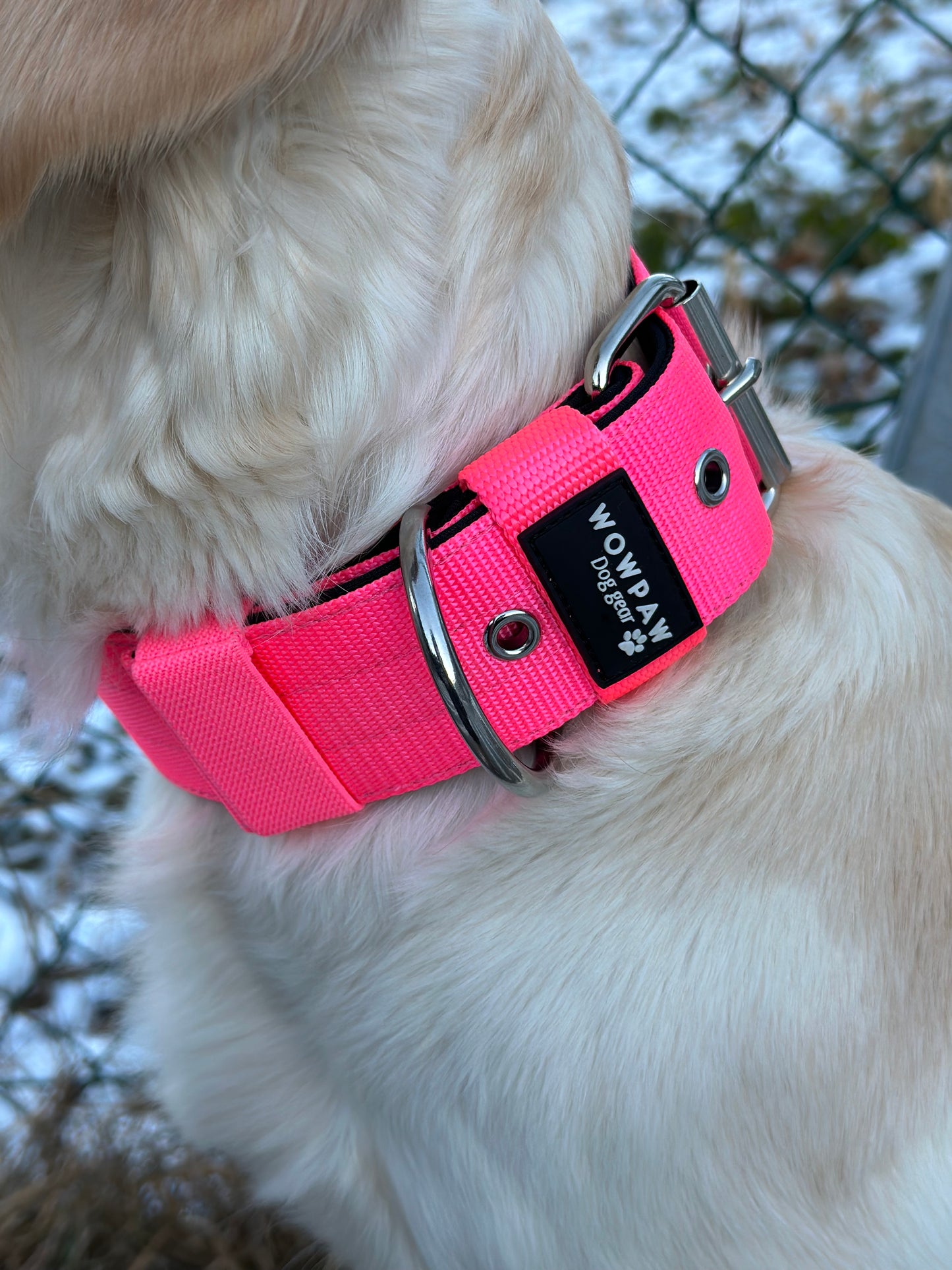 Hochwertiges Basic Hundehalsband Neonpink Größe M