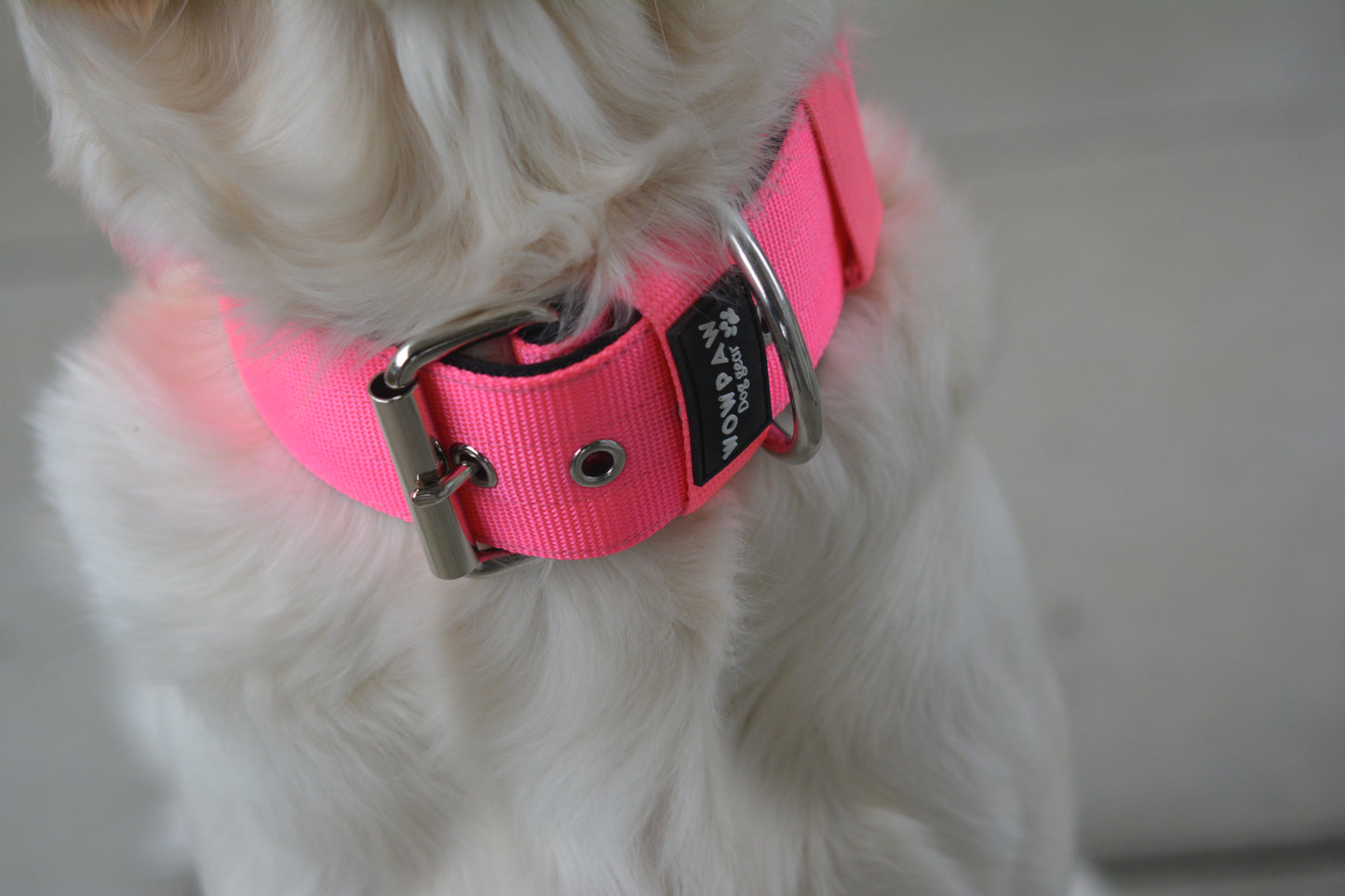 Hochwertiges Basic Hundehalsband Neonpink Größe M