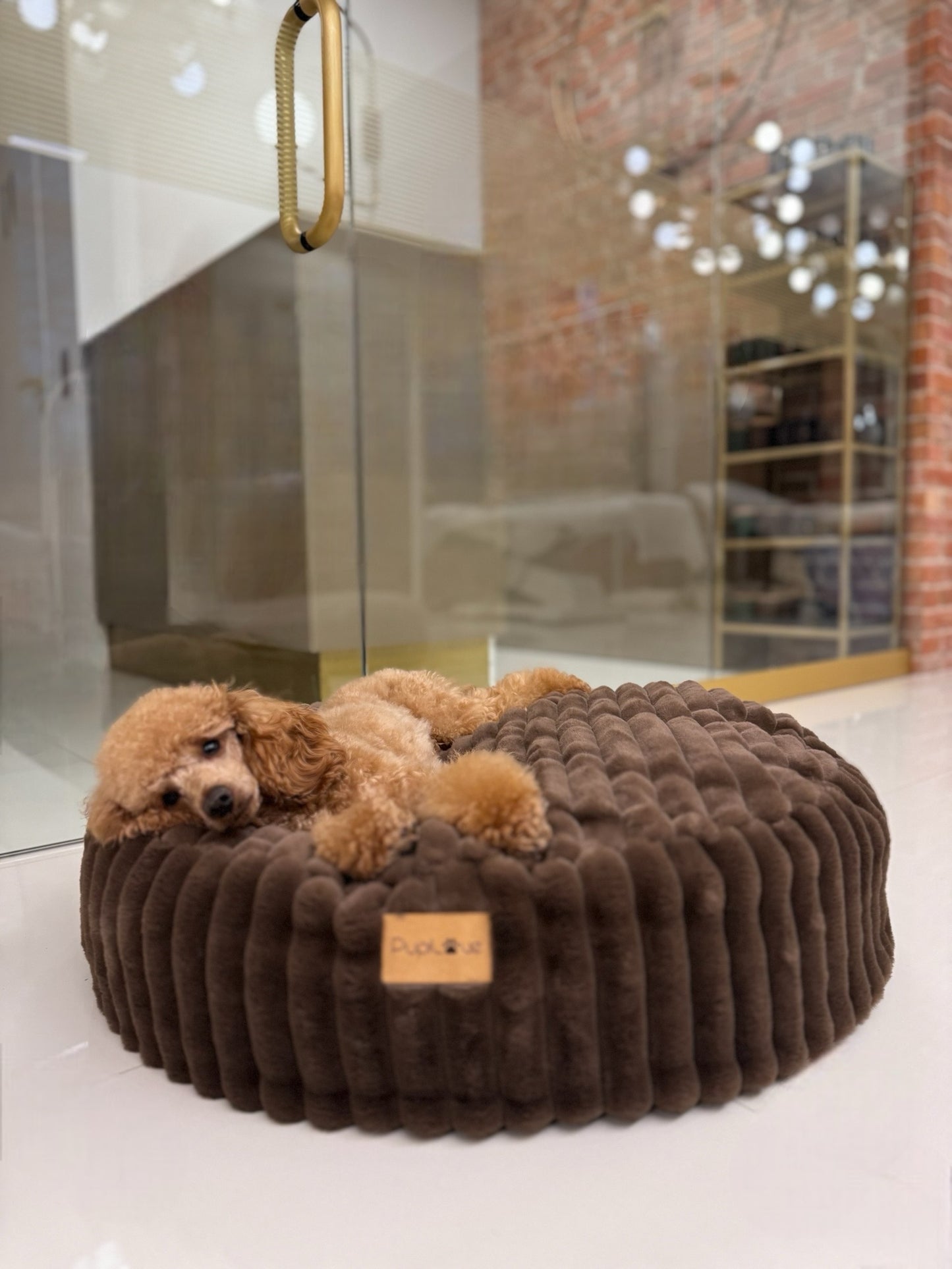 Relax-Kissen Rabbit Brownie
