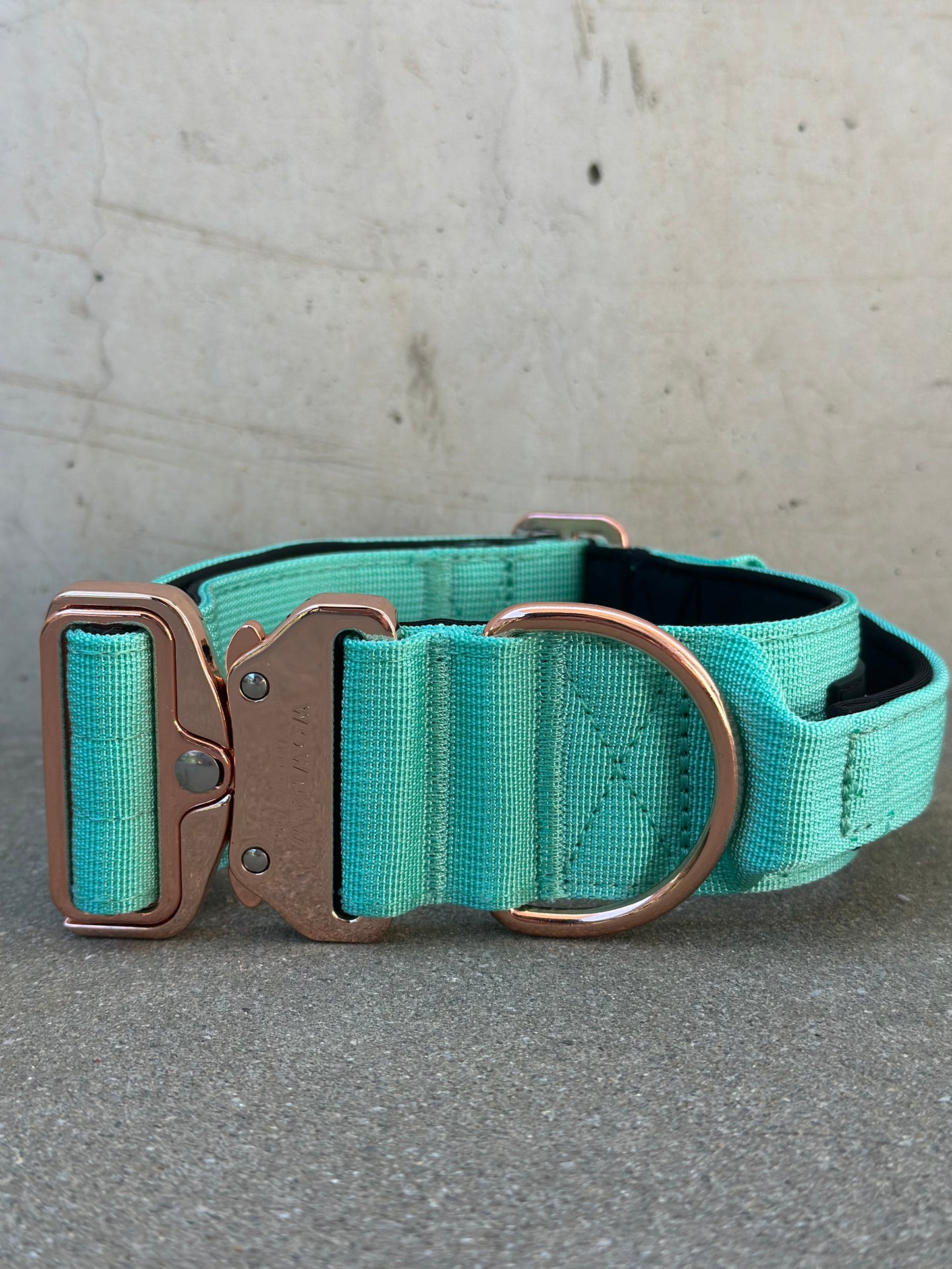 Hochwertiges taktisches Hundehalsband Mint X Rosegold Größe S