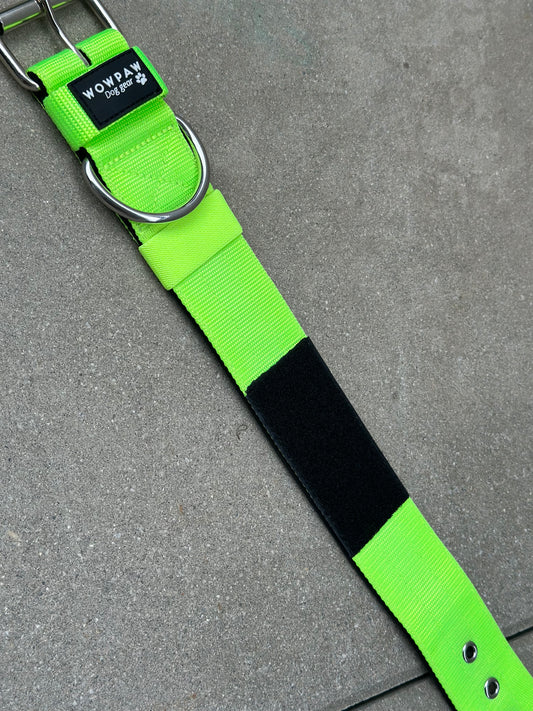 Hochwertiges Basic Patch Hundehalsband Neongrün Größe S