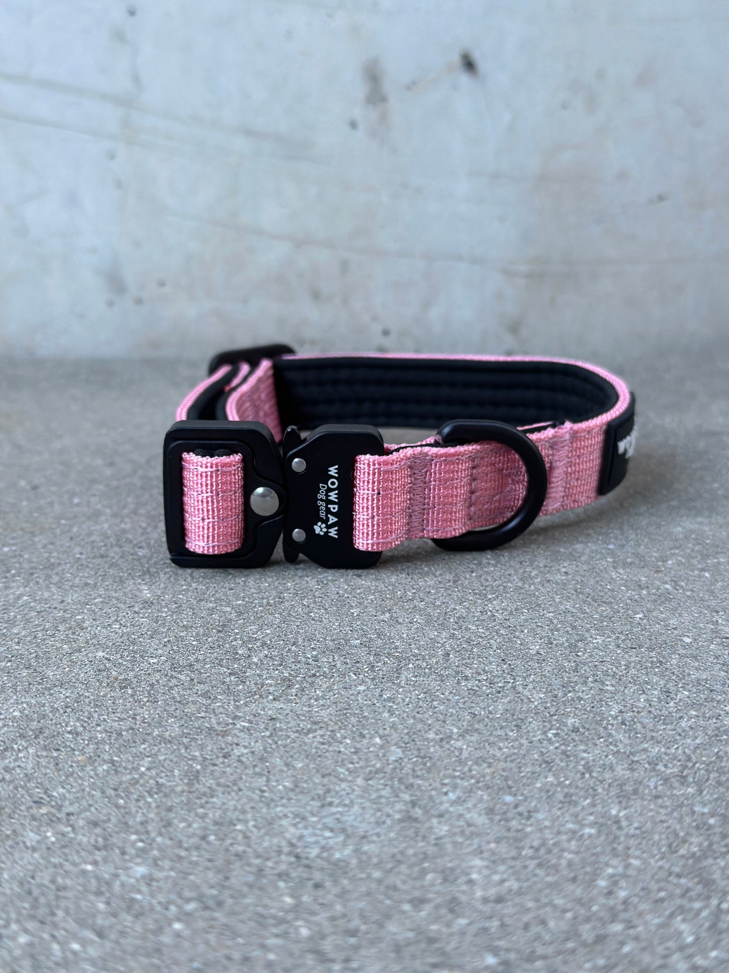 Hochwertiges taktisches Hundehalsband XXS 2cm Rosa