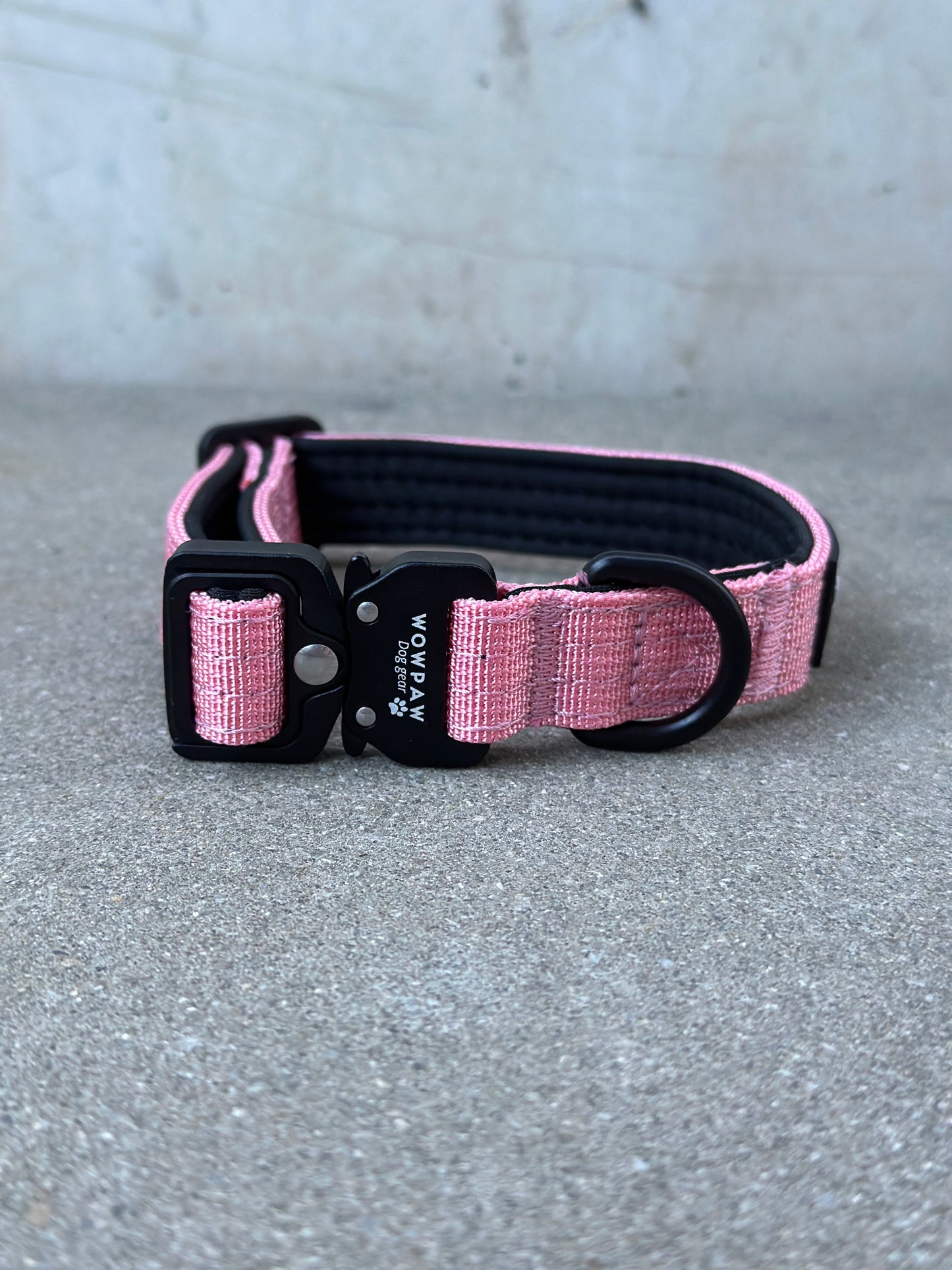 Hochwertiges taktisches Hundehalsband XXS 2cm Rosa