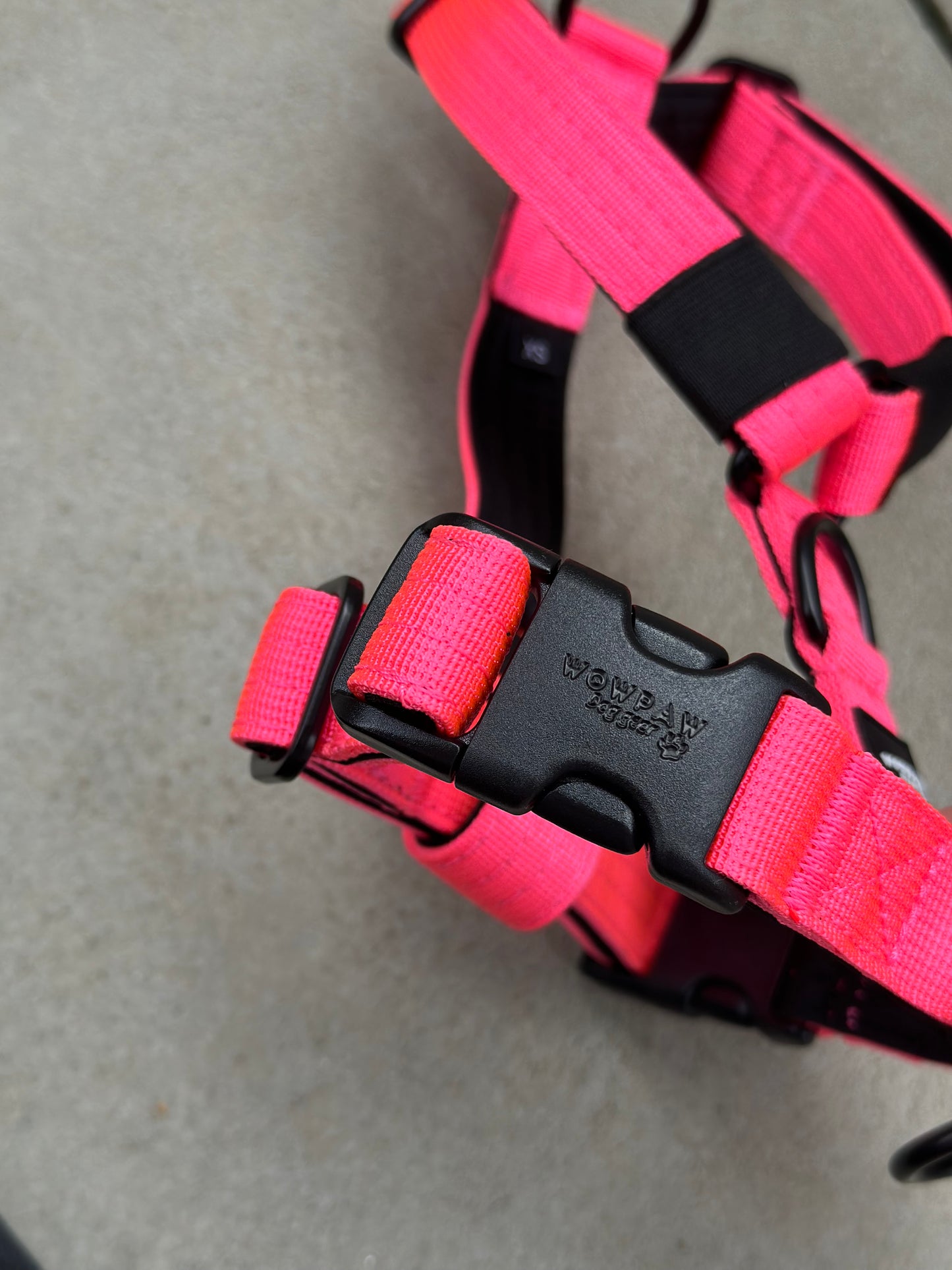 Hochwertiges Hundegeschirr XS Neonpink