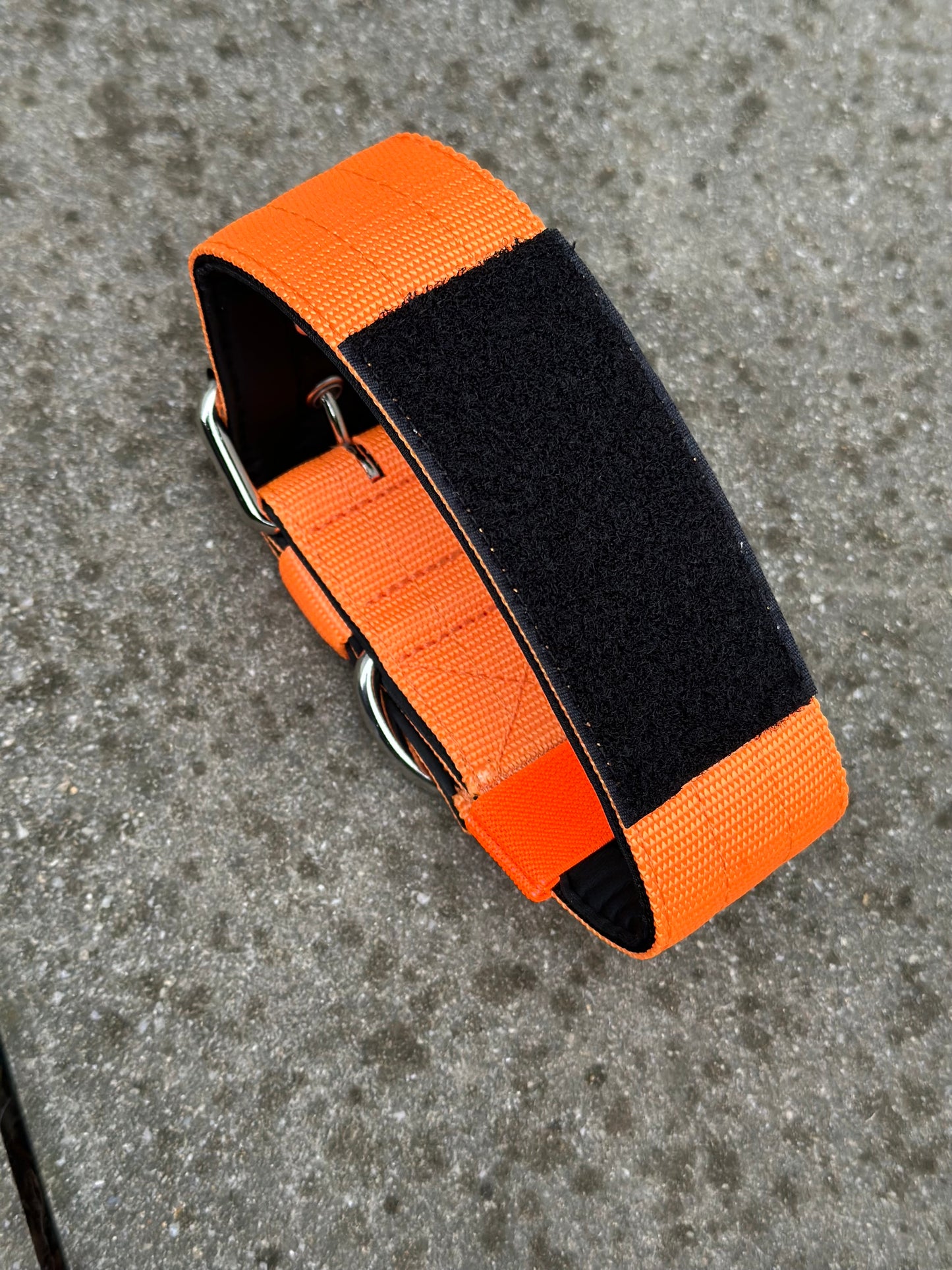 Hochwertiges Basic Hundehalsband Neonorange mit Patch Größe L