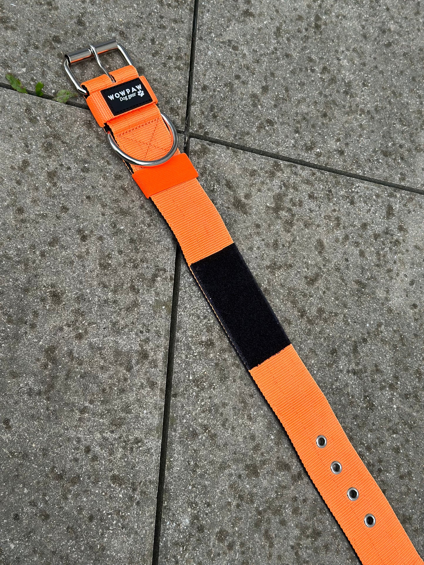 Hochwertiges Basic Hundehalsband Neonorange mit Patch Größe L